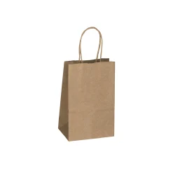 SAC PAPIER SHOPPERS AVEC CORDE PQT/25