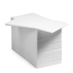 NAPKIN 2 PLIS BLANCHE 15GSM 100/PQT