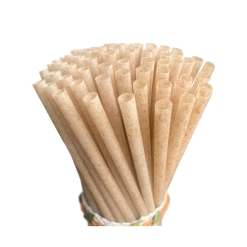 PAILLE EN SUCRE DE CANNE ET AGAVE 8''  PQT/100